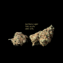 Northern Light