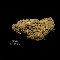 AK-47