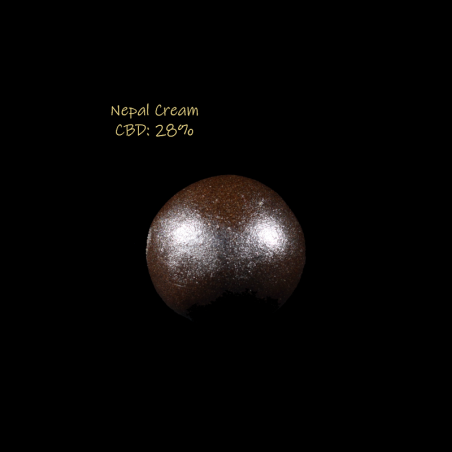 Nepal Cream