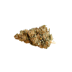 Candy Haze